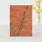 Helderrode woestijn Wildbloemen Voetvogel Struik Kaart (Gele Bloem)