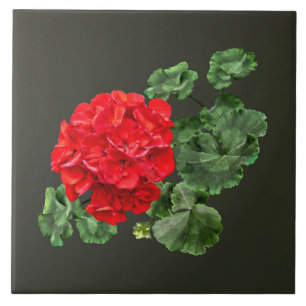 Helderrood geranium tegeltje