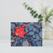 Helderrood Herfst Leaf Briefkaart (Staand voorkant)