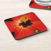 Helderrood Oranje Hibiscus Flower Bier Onderzetter (Linkerzijde)