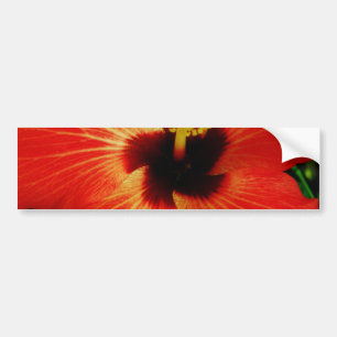 Helderrood Oranje Hibiscus Flower Bumpersticker