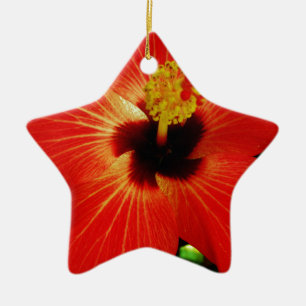 Helderrood Oranje Hibiscus Flower Keramisch Ornament