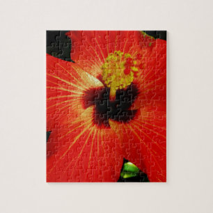 Helderrood Oranje Hibiscus Flower Legpuzzel