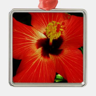 Helderrood Oranje Hibiscus Flower Metalen Ornament
