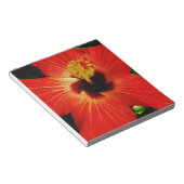 Helderrood Oranje Hibiscus Flower Notitieblok (Schuin)