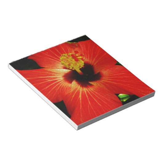 Helderrood Oranje Hibiscus Flower Notitieblok (Schuin)