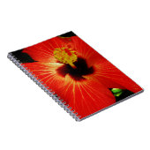 Helderrood Oranje Hibiscus Flower Notitieboek (Rechterzijde)