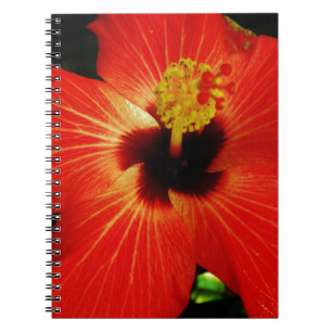 Helderrood Oranje Hibiscus Flower Notitieboek