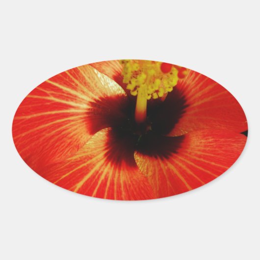 Helderrood Oranje Hibiscus Flower Ovale Sticker (Voorkant)