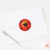 Helderrood Oranje Hibiscus Flower Ronde Sticker (Envelop)