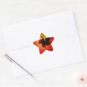 Helderrood Oranje Hibiscus Flower Ster Sticker (Envelop)