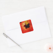 Helderrood Oranje Hibiscus Flower Vierkante Sticker (Envelop)