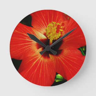 Helderrood Oranje Hibiscus-ventilator Ronde Klok
