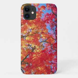 Helderrood, sinaasappel en geel Verlof van de herf Case-Mate iPhone Case