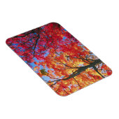 Helderrood, sinaasappel en geel Verlof van de herf Magneet (Rechterzijde)