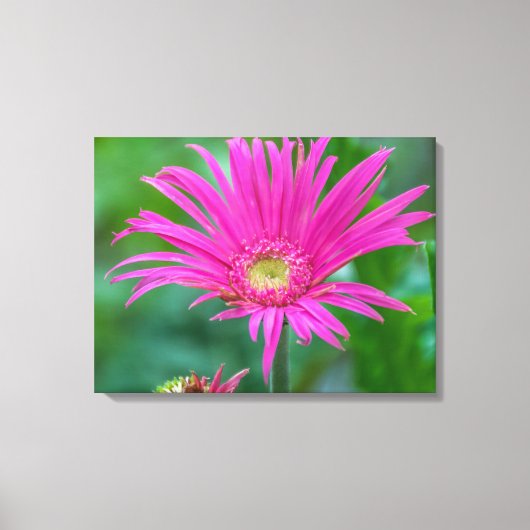 Helderroze bloem uitzicht canvas print (Voorkant)