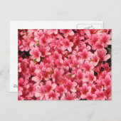 Helderroze bloemen briefkaart (Voorkant / Achterkant)