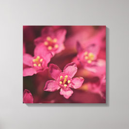 Helderroze bloemen canvas afdruk