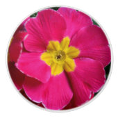 Helderroze en gele primroze ventilator keramische knop (Voorkant)