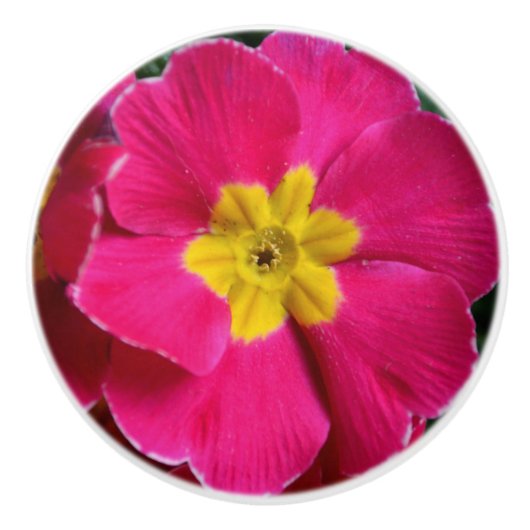 Helderroze en gele primroze ventilator keramische knop (Voorkant)