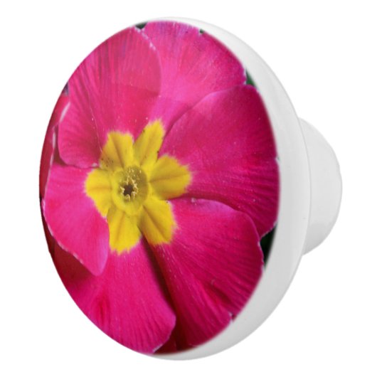 Helderroze en gele primroze ventilator keramische knop (Rechts)