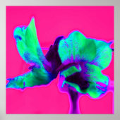 Helderroze en groene Poster afdrukken (Voorkant)