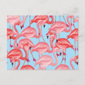 Helderroze flamingo's op blauw 2 briefkaart (Voorkant)