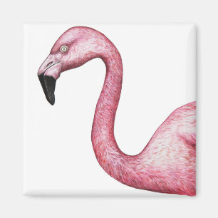 Helderroze illustratie van Flamingo Magneet