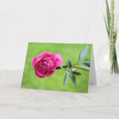 Helderroze pony bedankkaart (Voorkant)