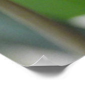 Helderroze tulpbloem poster (Hoek)