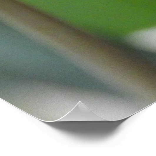 Helderroze tulpbloem poster (Hoek)