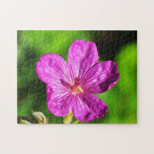 Helderroze wilde bloemen groene gras legpuzzel (Horizontaal)