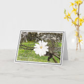 Helderwitte sterren tegen olie kaart (Gele Bloem)