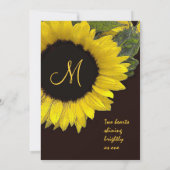 Helderzonnebloempittenmetaal Kaart (Achterkant)