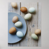 Hele eieren poster (Voorkant)