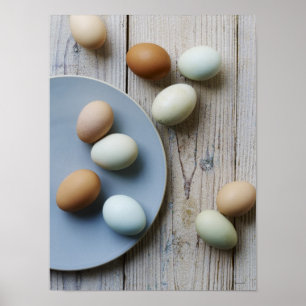 Hele eieren poster
