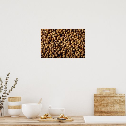 Hele korianderzaad poster (Keuken)