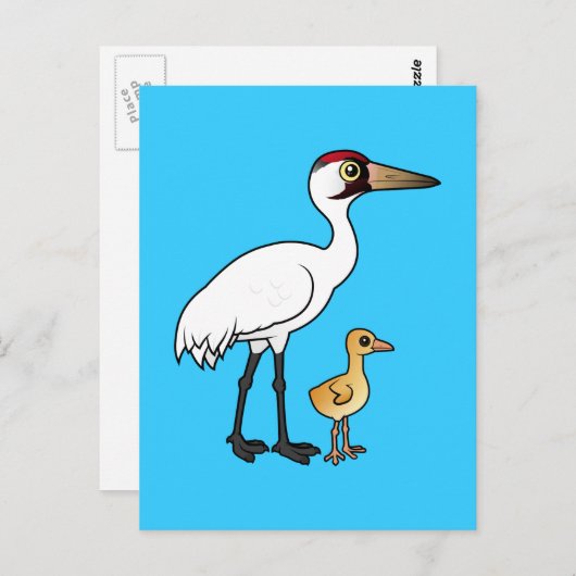 Hele kraan met chick briefkaart (Voorkant / Achterkant)