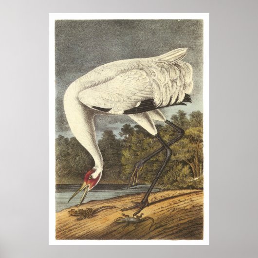 Hele kraan poster (Voorkant)