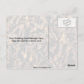 Hele kruidnagel briefkaart (Achterkant)