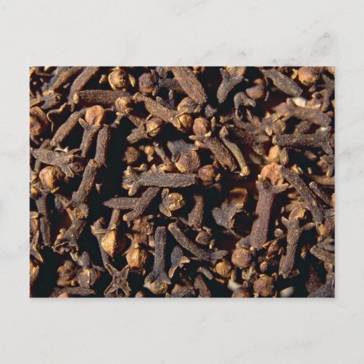 Hele kruidnagel briefkaart (Voorkant)