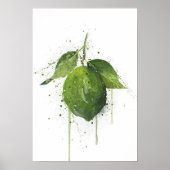 Hele limoenfruit poster (Voorkant)