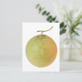 Hele muskmeloen briefkaart (Staand voorkant)