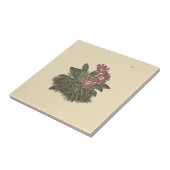 Hele verlaten Primrose Botanische Illustratie Tegeltje (Zijkant)