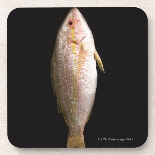 Hele Zee Bass Drankjes Onderzetter (Voorkant)