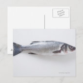 Hele zink briefkaart (Voorkant / Achterkant)