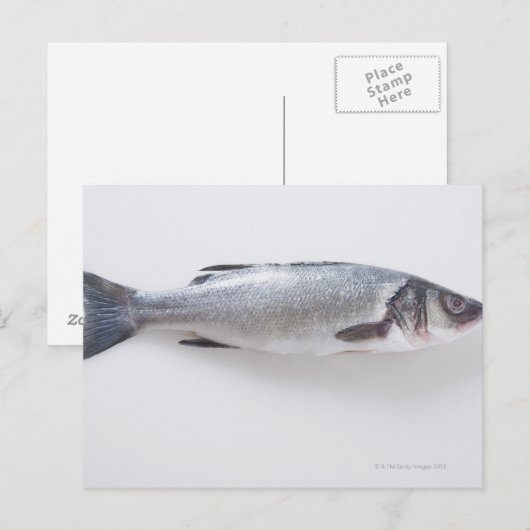 Hele zink briefkaart (Voorkant / Achterkant)
