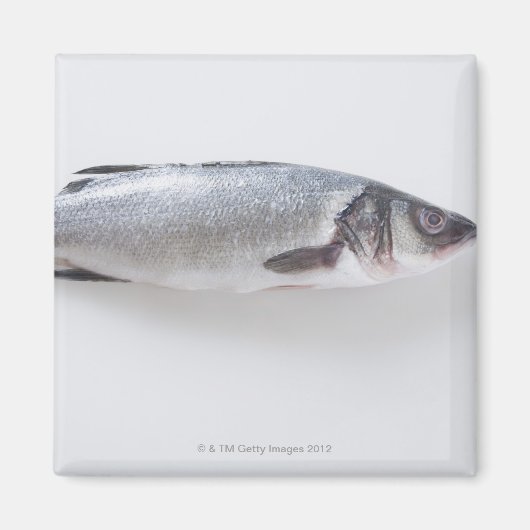 Hele zink magneet (Voorkant)