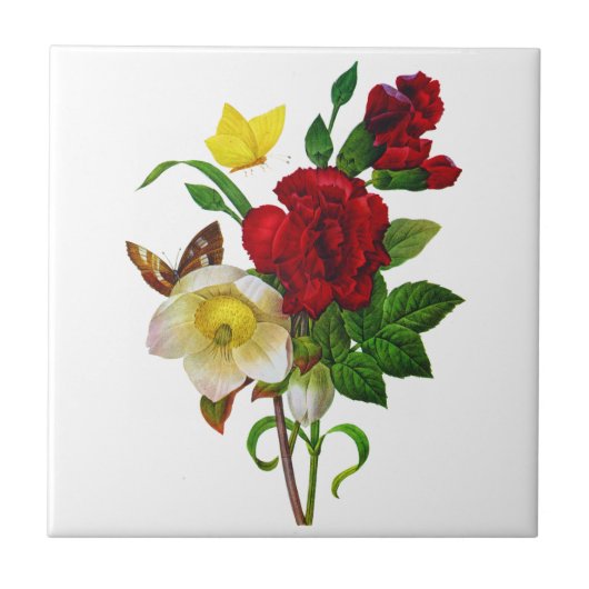 Helebore, Kerst Roos door Pierre Joseph Redoute Tegeltje (Voorkant)