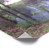 Helemaal naar beneden op een Suwannee River White  Poster (Hoek)